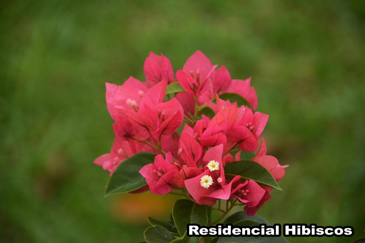 Vila Residencial Hibiscos - Vista Mar Garopaba Exteriér fotografie